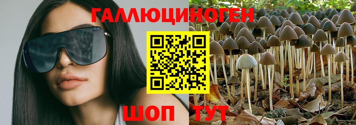 Псилоцибиновые грибы мухоморы Казань